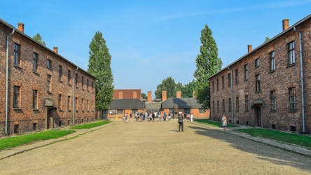 Visita guiada a Auschwitz-Birkenau y a la mina de sal de Wieliczka